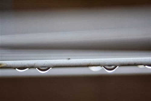 20090720 (1) (Small)