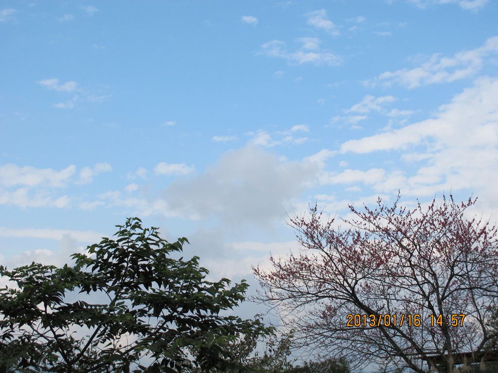 [IMG_75984.jpg]