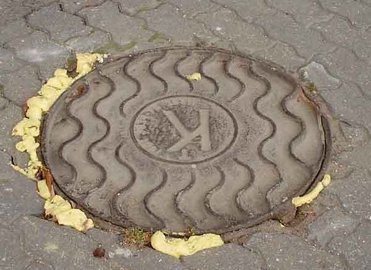 [human_stupid_24%255B2%255D.jpg]