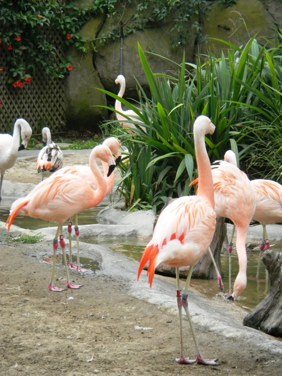 [DSCN5476%2520-%2520Kopie%255B4%255D.jpg]