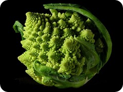 Fractal_Broccoli Fractal_Broccoli