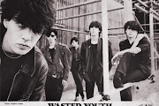 Wasted Youth