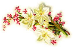 http://lh6.ggpht.com/-Q22ugzr1IWQ/TRPWTN0iKqI/AAAAAAAAFGE/5myThX82j2U/s250/spray-flowers-left.jpg