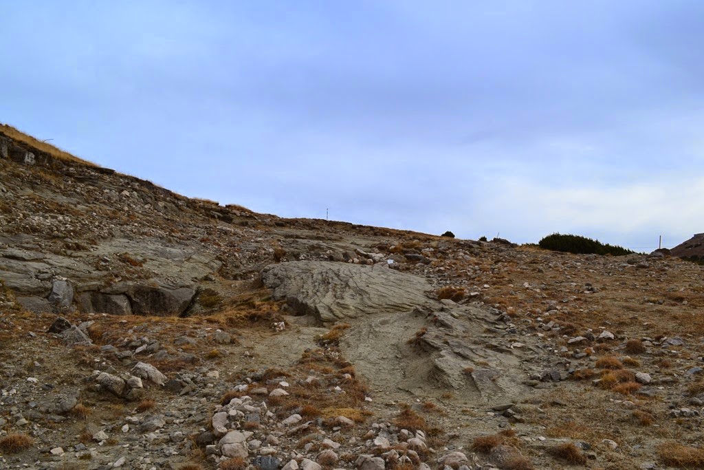 [DSC_71173.jpg]