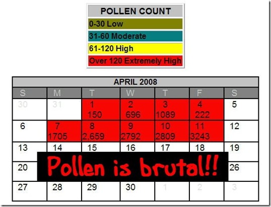 pollen count 4-11-08 1