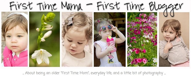 First Time Mama Blog Header