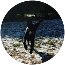 Melissa Fernandes profile picture