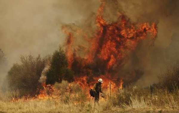 A firefighter walks in front of burning trees during the 2011 Wallow fire in Arizona, which burned more than 538,000 acres and was the biggest in state history, 10 June 2011. According to NOAA's National Climatic Data Center, the damages from U.S. wildfires in 2011 exceeded $1 billion. Marcio Jose Sanchez / Associated Press