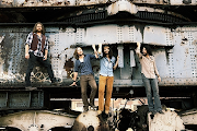 The Sheepdogs