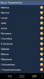 Portuguese Holy Bible poster 4