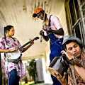 Carolina Chocolate Drops