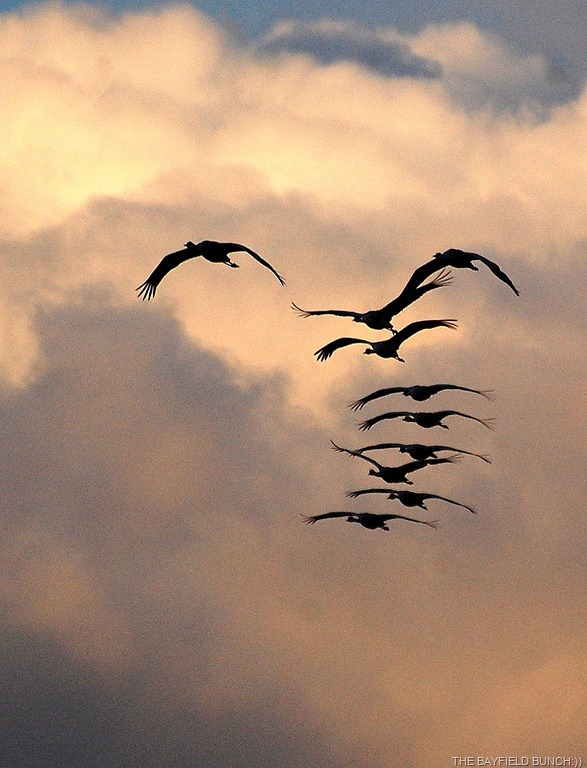 [DSC_5225%255B8%255D.jpg]