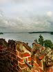 IMG_1565.jpg