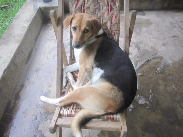 [IMG_1227%255B3%255D.jpg]