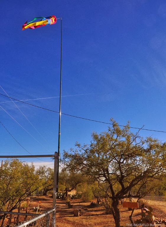 [DSC_0021%255B4%255D.jpg]