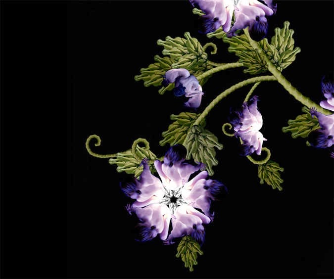 [flores5%255B3%255D.jpg]