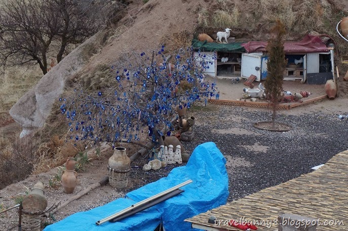 DSC00526 DSC00526