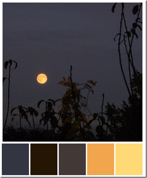 maan-kleurenbalk