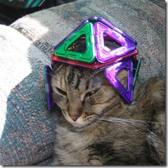 Dave-cat-Magformers-3