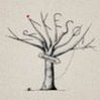 Kr&aring;kes&oslash;lv