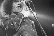 Dan Mccafferty