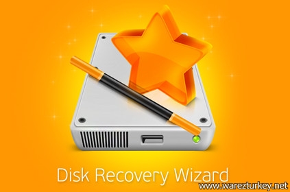 WizardRecovery Disk Recovery Wizard 4.1.0
