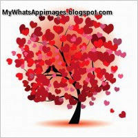 Love, Romantic Images For Whatsapp  