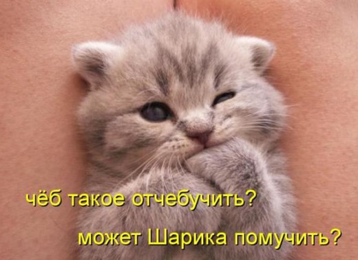 [4500c14039652043b0c3a5320ce_prev%255B3%255D.jpg]