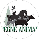 Image Google de Association Règne Animal