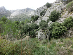 2012-10-20 Mallorca by BREITENGRAD53 - 050