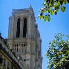 DSC00690.jpg