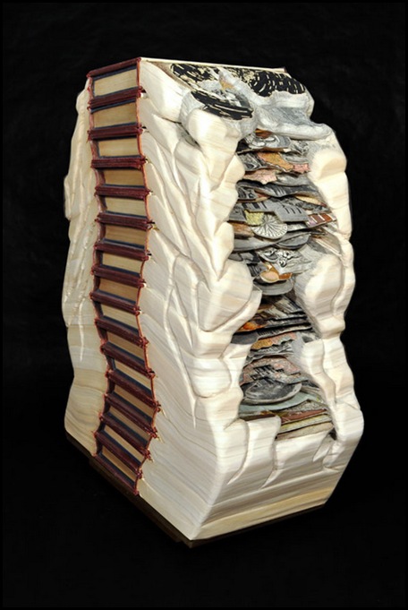 Brian Dettmer sculpteur de livres (12)