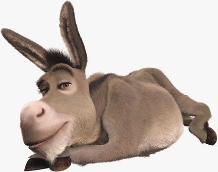 [donkey%255B5%255D.jpg]