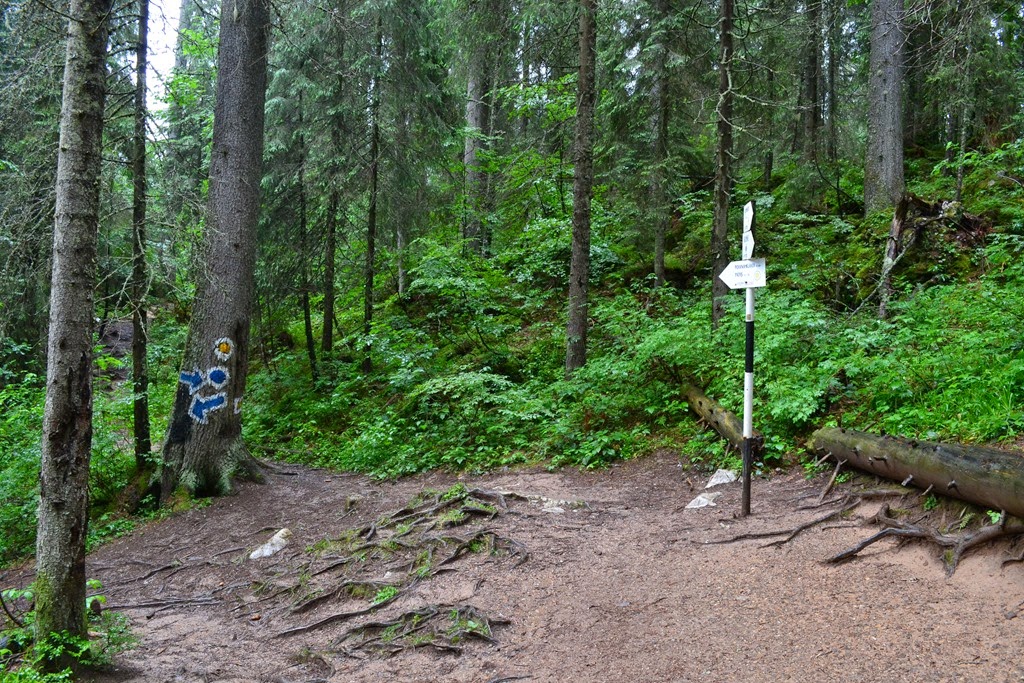 [DSC_99613.jpg]