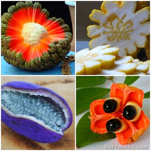 [page%255B8%255D.jpg]