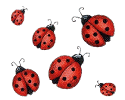 gifs-animados-catarinas-ladybugs-014