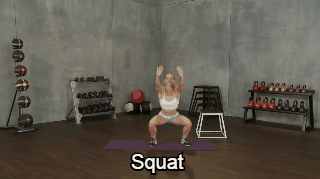 [squat%255B3%255D.gif]