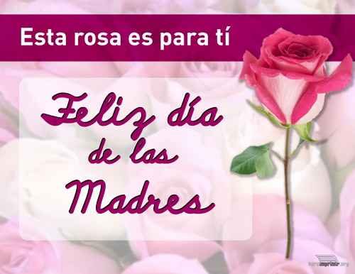 Esta rosa es para ti madre