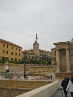 IMG_2237 IMG_2237