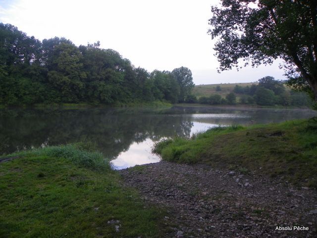 Loire à l&#039;embouchure de l&#039;Aix photo #1257