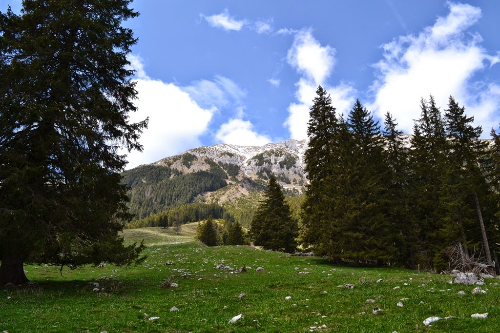 [DSC_81253.jpg]