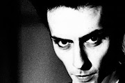 Peter Murphy