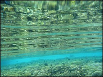 Kauehi - Crystal clear water