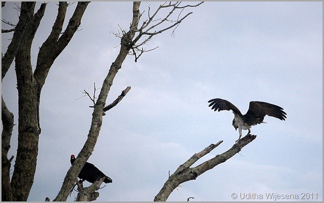 DSC_0094 DSC_0094