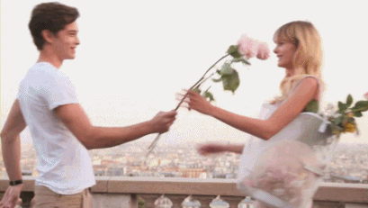 gcs2.gif