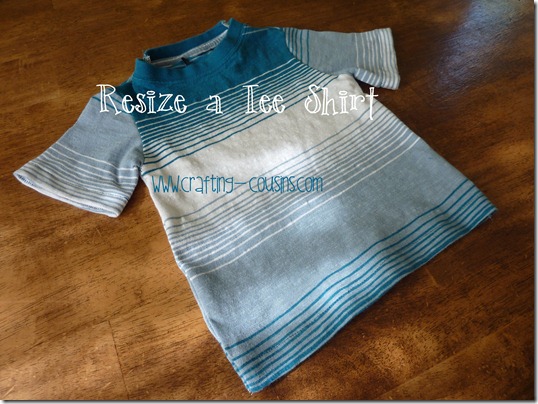 resize a tee shirt (16)