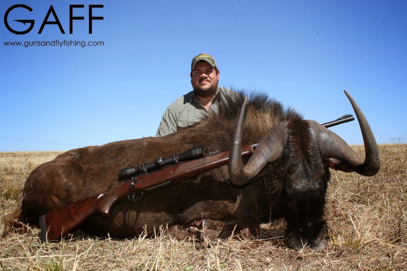 Black-Wildebeest-Hunting (1).jpg