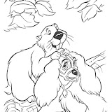 castor%2520quita%2520bozal.jpg
