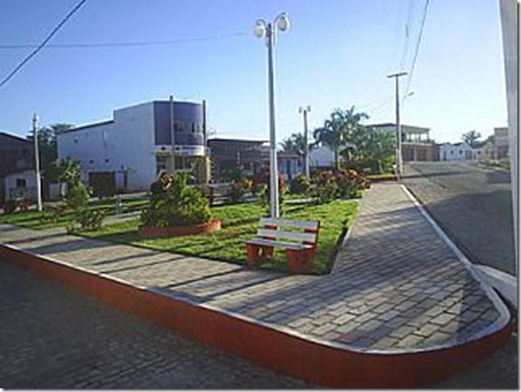 ANT MARTINS