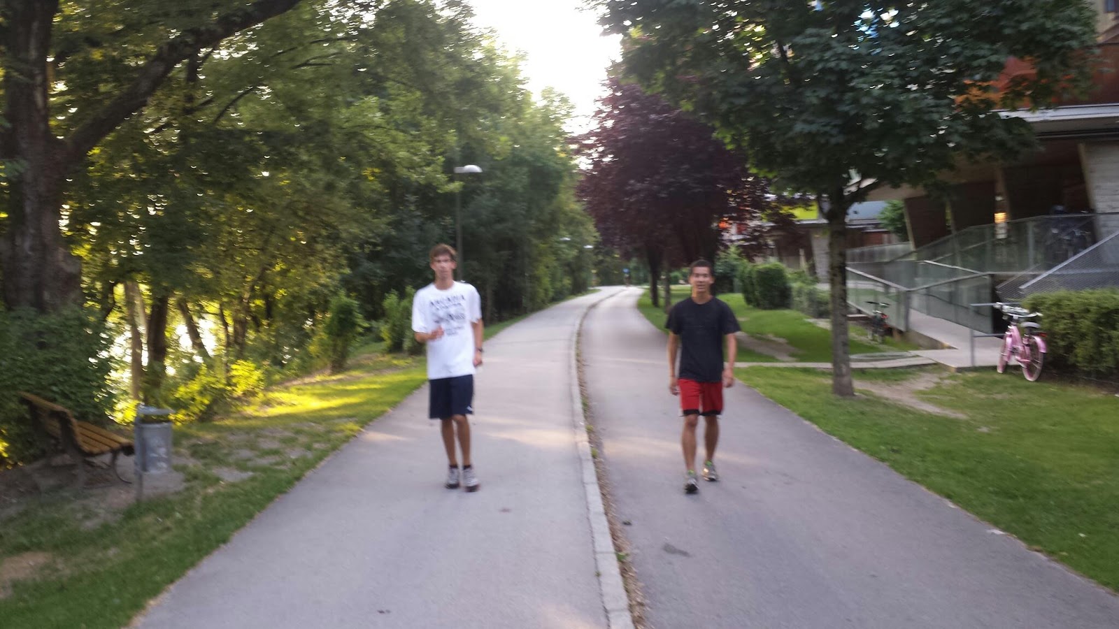 WHEUPA 2013 Europe Trip Innsbruck Running in the Tyrolean Alps